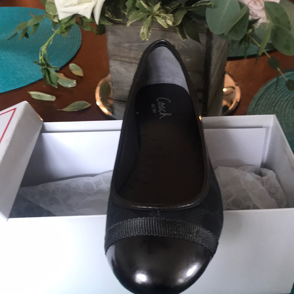 Steel Black Coach Flats